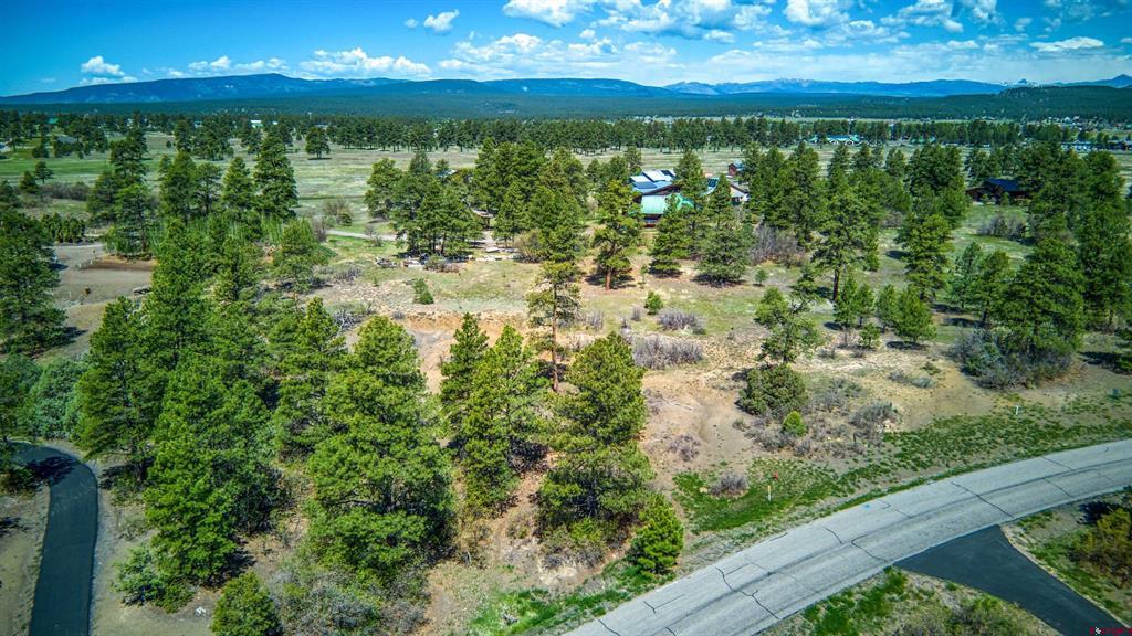 1362 Cool Pines Drive Pagosa Springs CO 81147