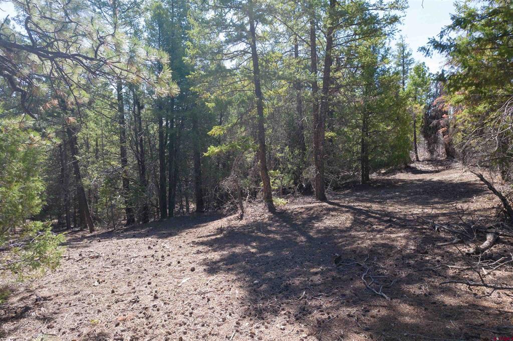 352 Blanca Place Pagosa Springs CO 81147