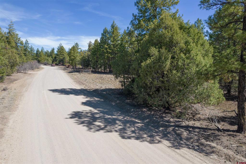 352 Blanca Place Pagosa Springs CO 81147