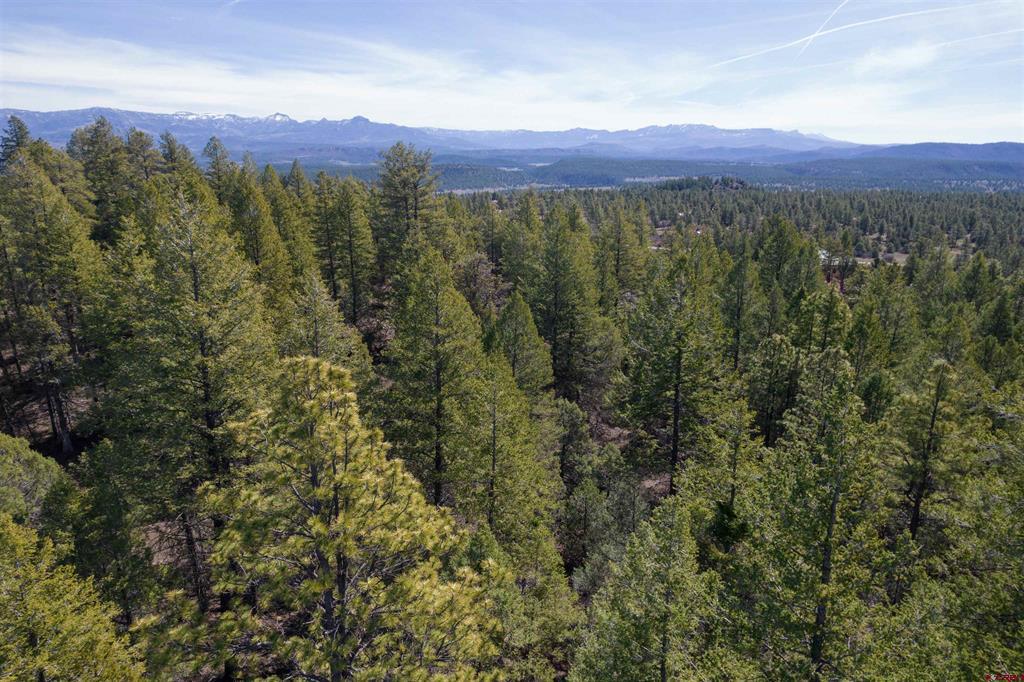 352 Blanca Place Pagosa Springs CO 81147