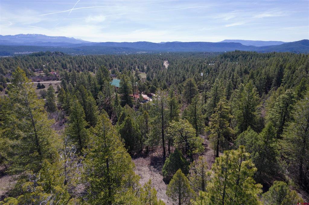 352 Blanca Place Pagosa Springs CO 81147