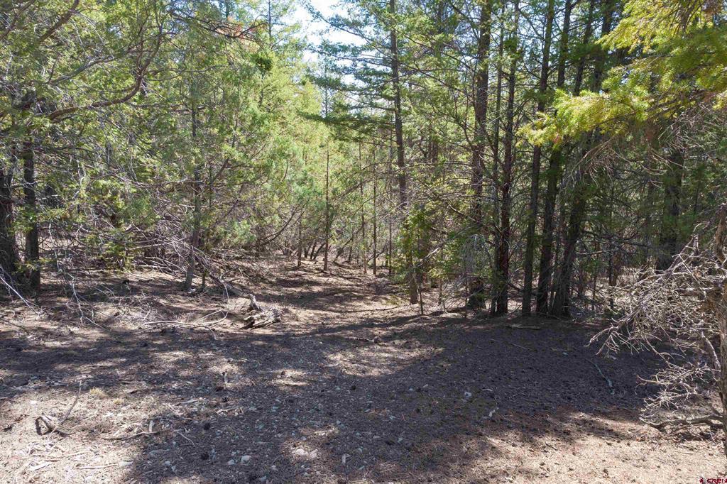 352 Blanca Place Pagosa Springs CO 81147