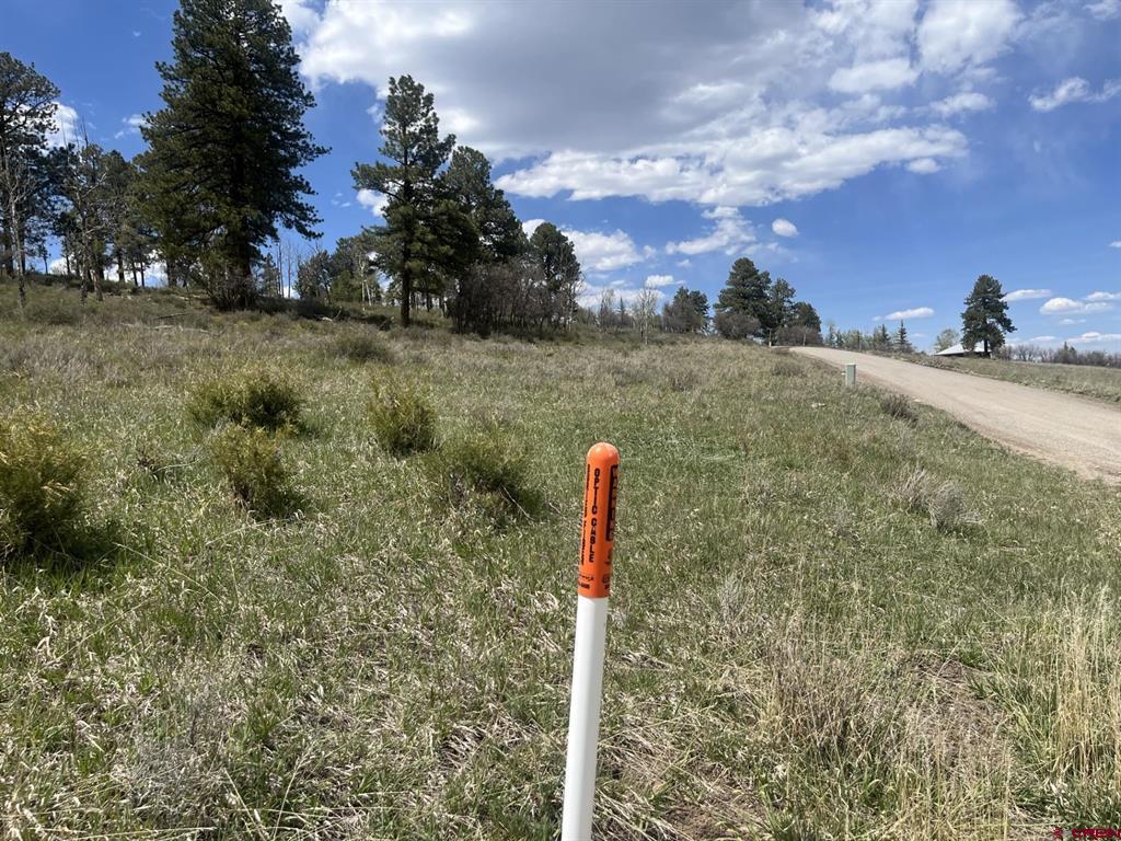 Lot A Aspen Drive Ridgway CO 81432