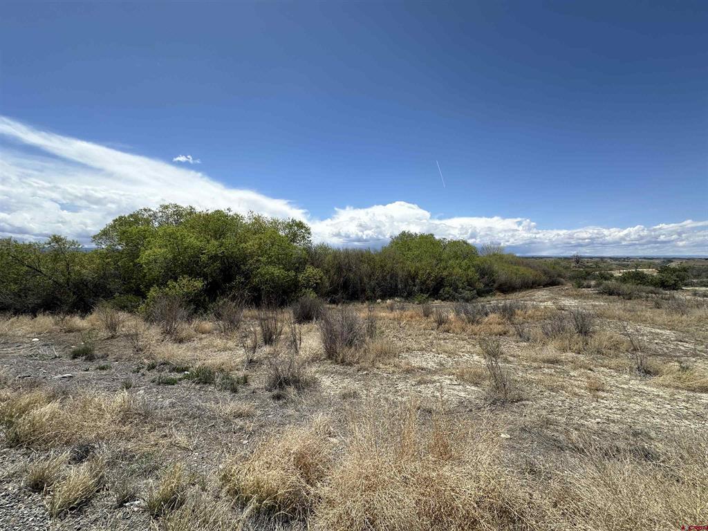 Tbd (Lot 3) 6200 Road Montrose CO 81401