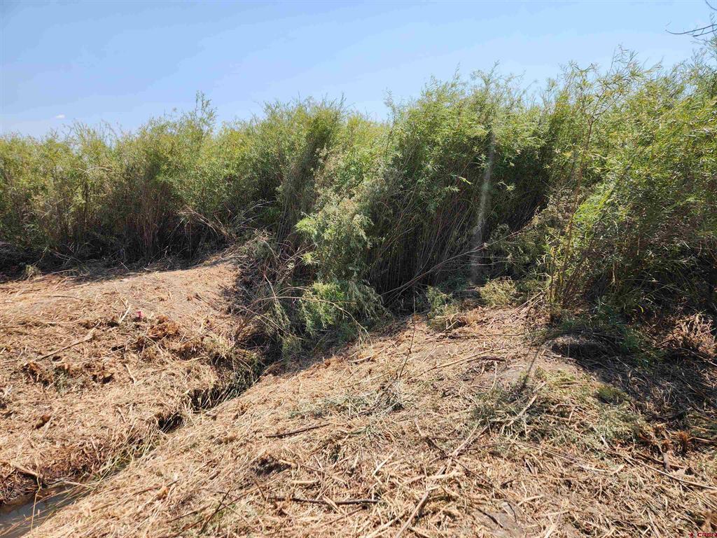 Tbd (Lot 3) 6200 Road Montrose CO 81401