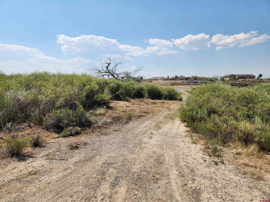 Tbd (Lot 3) 6200 Road Montrose CO 81401