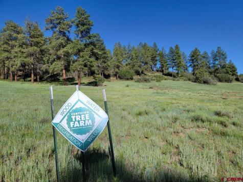 X Catchpole Pagosa Springs CO 81147