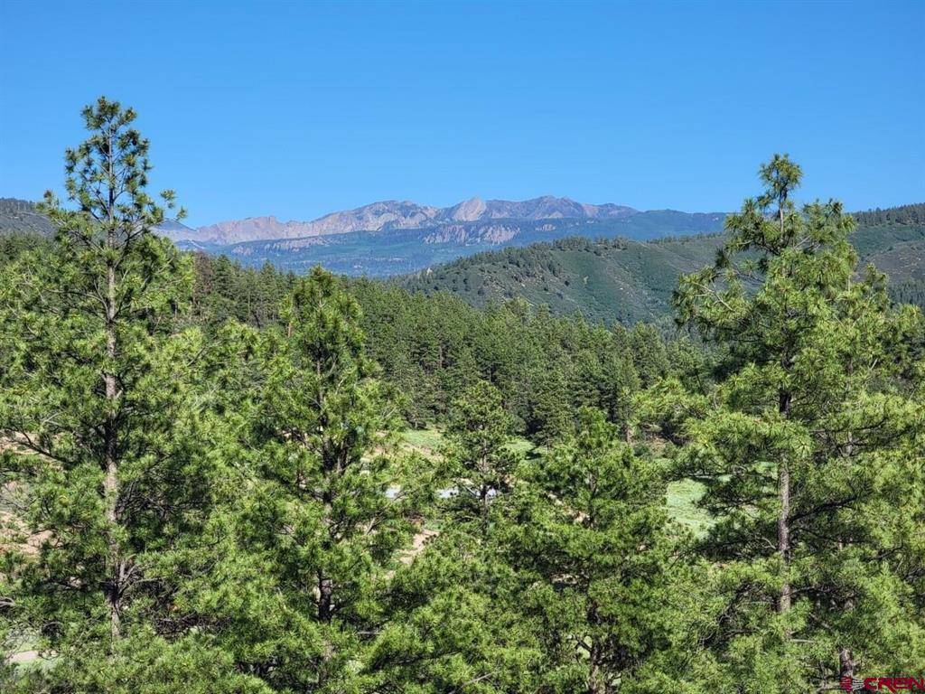 X Catchpole Drive Pagosa Springs CO 81147