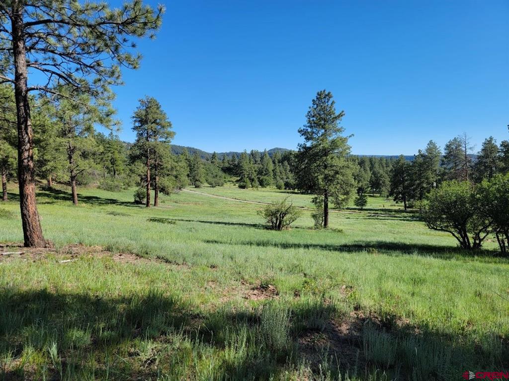 X Catchpole Drive Pagosa Springs CO 81147
