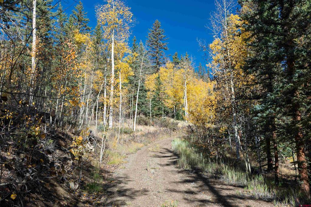 32229 Bristol Head Drive Creede CO 81130