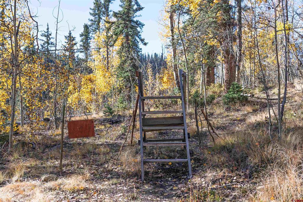 32229 Bristol Head Drive Creede CO 81130