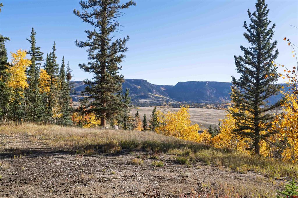 32229 Bristol Head Drive Creede CO 81130