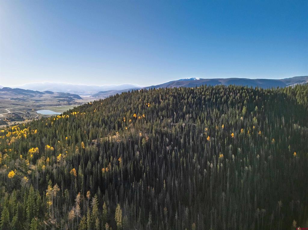 32229 Bristol Head Drive Creede CO 81130