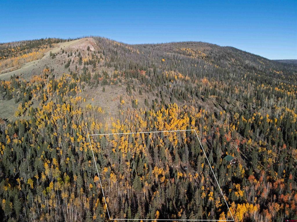 32229 Bristol Head Drive Creede CO 81130