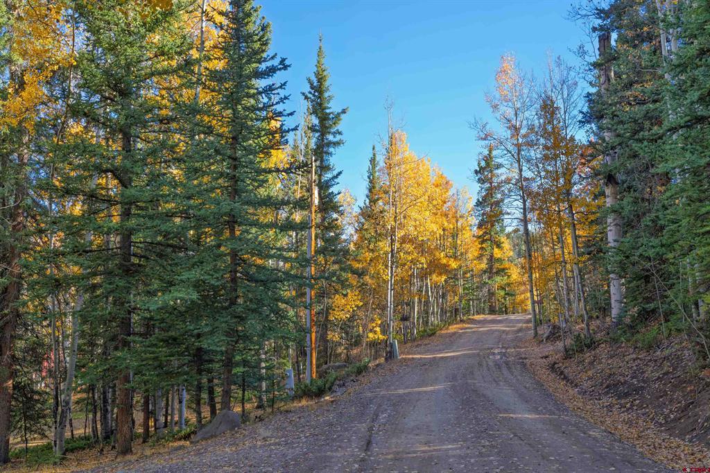 32229 Bristol Head Drive Creede CO 81130