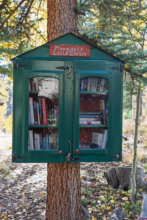 32229 Bristol Head Drive Creede CO 81130
