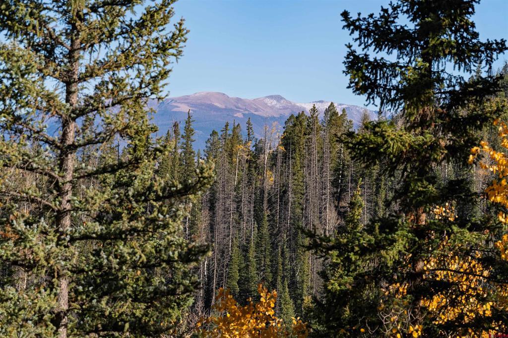 32229 Bristol Head Drive Creede CO 81130