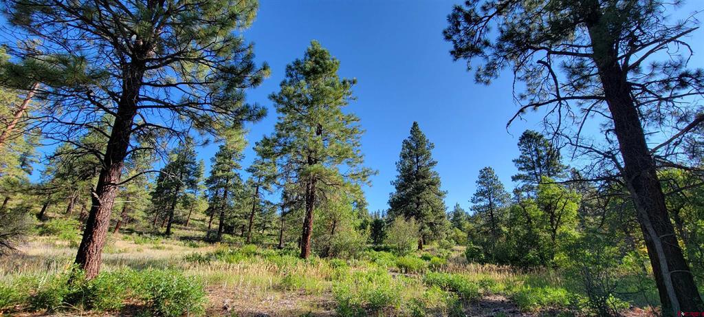 Lot 8 Beaver Creek Ranch Drive Bayfield CO 81122