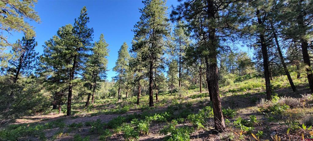 Lot 8 Beaver Creek Ranch Drive Bayfield CO 81122