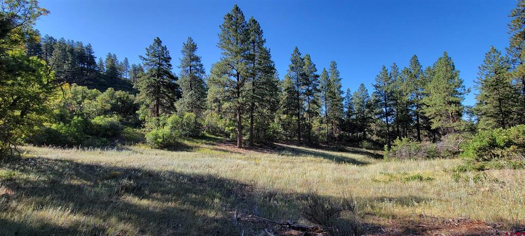 Lot 8 Beaver Creek Ranch Drive Bayfield CO 81122