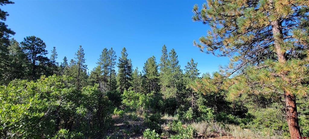 Lot 8 Beaver Creek Ranch Drive Bayfield CO 81122