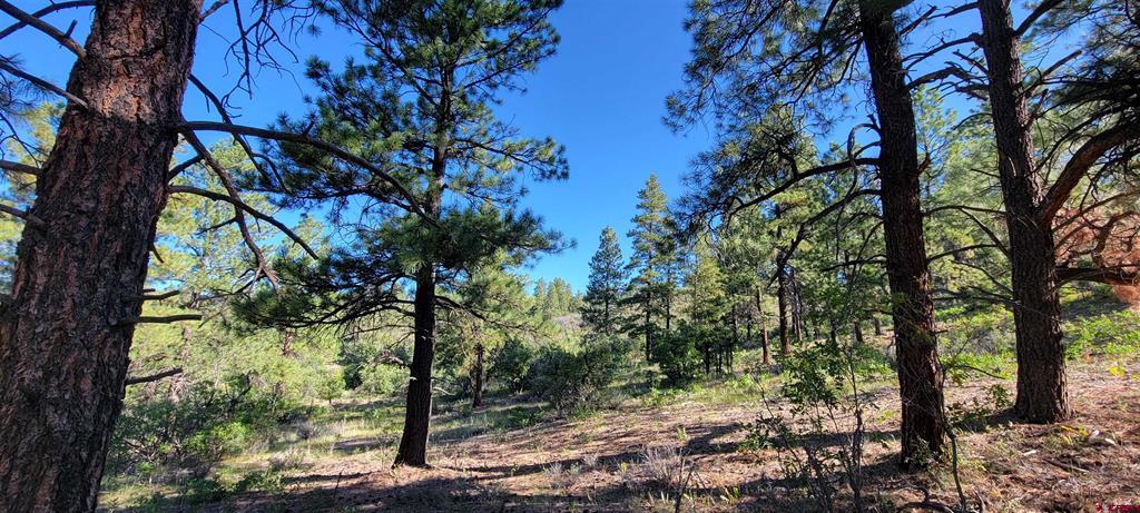 Lot 8 Beaver Creek Ranch Drive Bayfield CO 81122