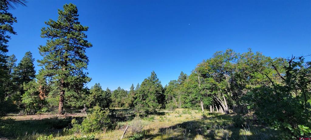 Lot 8 Beaver Creek Ranch Drive Bayfield CO 81122