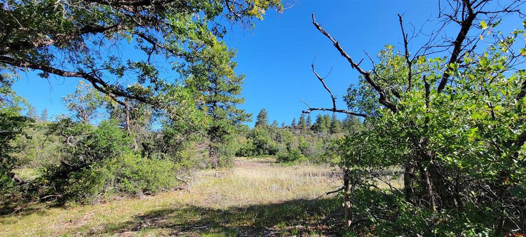 Lot 8 Beaver Creek Ranch Drive Bayfield CO 81122