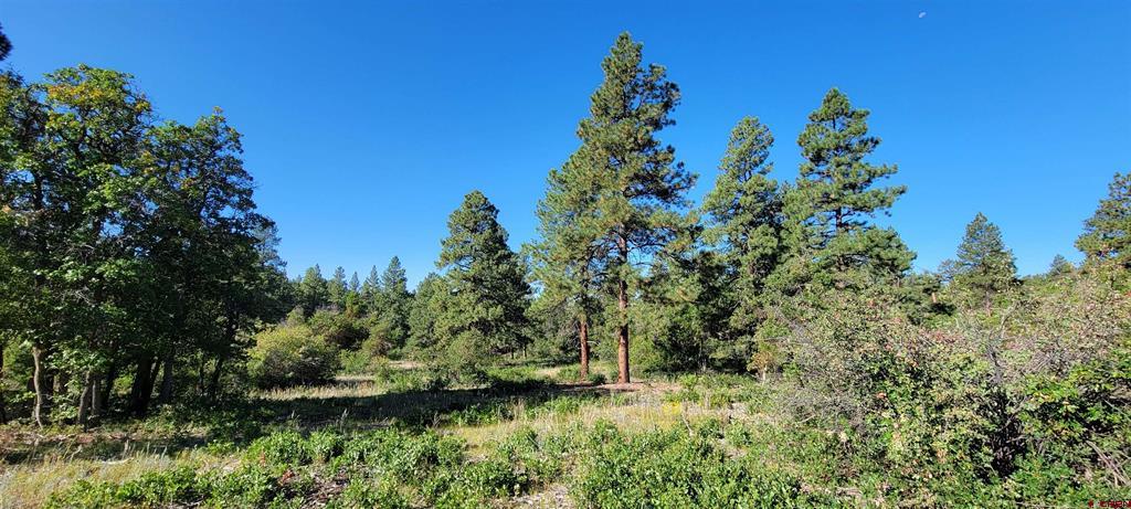 Lot 8 Beaver Creek Ranch Drive Bayfield CO 81122