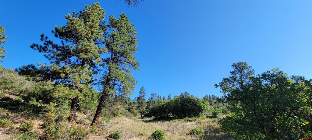 Lot 8 Beaver Creek Ranch Drive Bayfield CO 81122