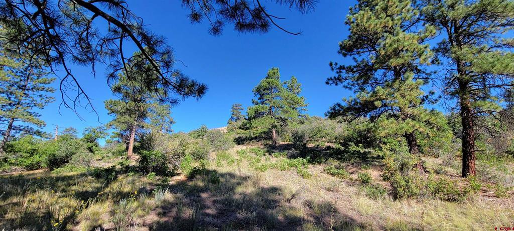 Lot 8 Beaver Creek Ranch Drive Bayfield CO 81122