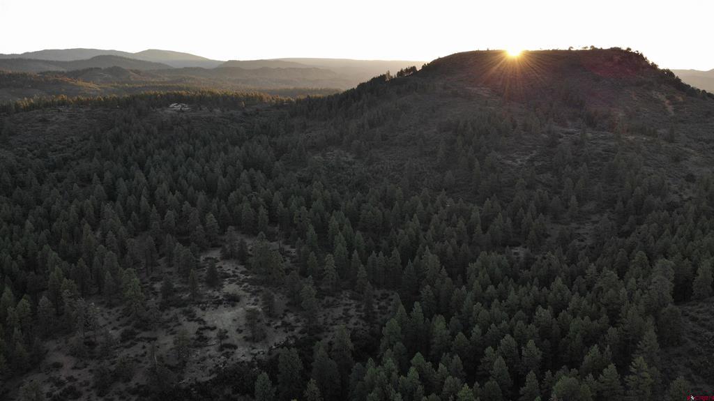 Lot 8 Beaver Creek Ranch Drive Bayfield CO 81122