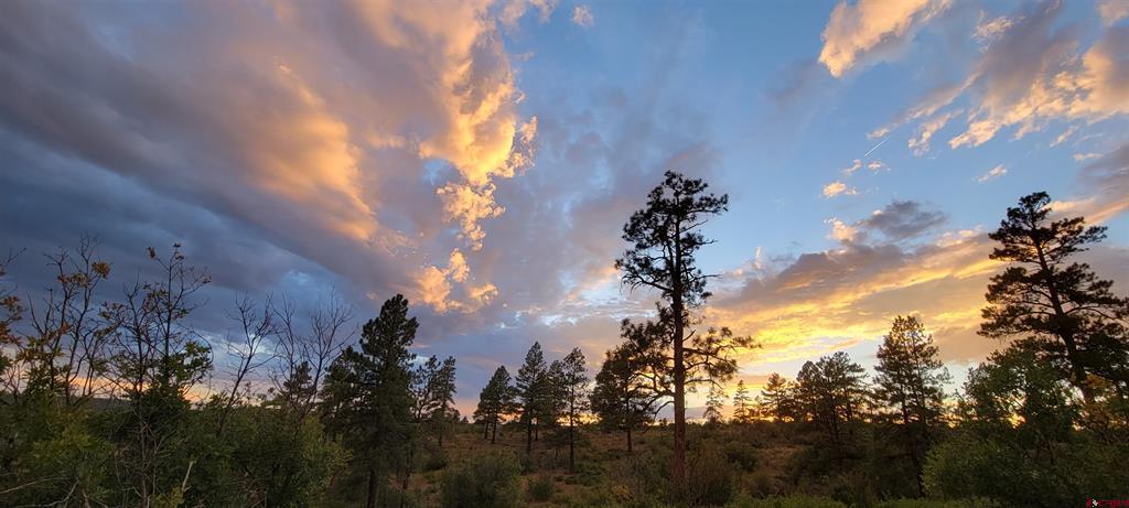 Lot 8 Beaver Creek Ranch Drive Bayfield CO 81122