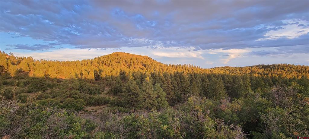 Lot 8 Beaver Creek Ranch Drive Bayfield CO 81122