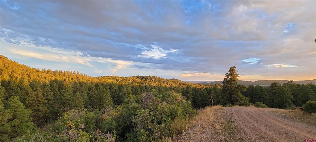 Lot 8 Beaver Creek Ranch Drive Bayfield CO 81122