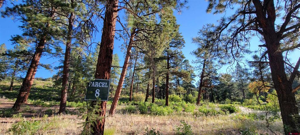 Lot 8 Beaver Creek Ranch Drive Bayfield CO 81122