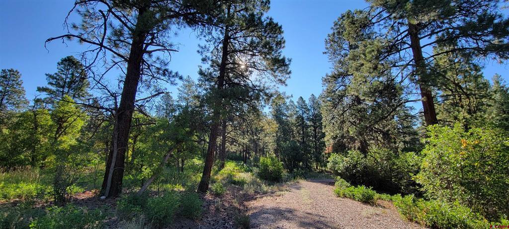 Lot 8 Beaver Creek Ranch Drive Bayfield CO 81122