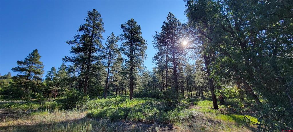 Lot 8 Beaver Creek Ranch Drive Bayfield CO 81122