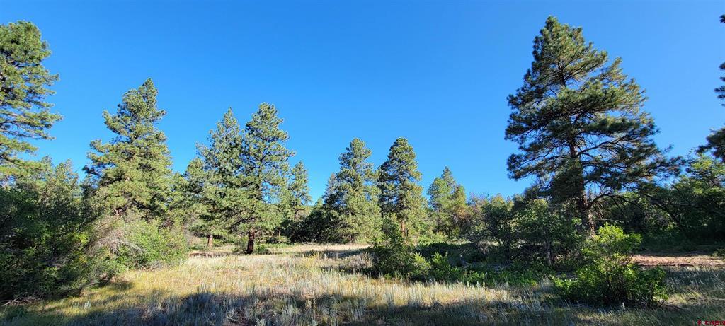Lot 8 Beaver Creek Ranch Drive Bayfield CO 81122