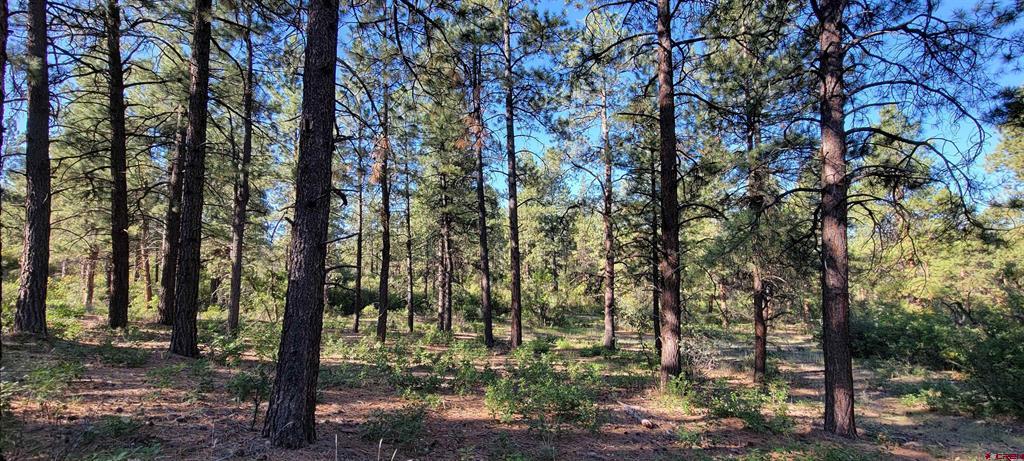 Lot 8 Beaver Creek Ranch Drive Bayfield CO 81122