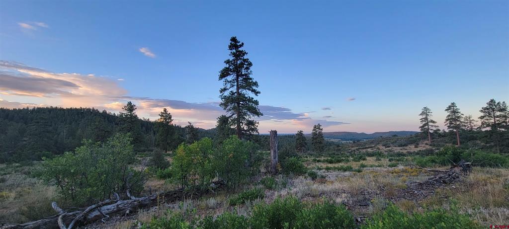Lots 4 And 5 Beaver Creek Ranch Drive Bayfield CO 81122