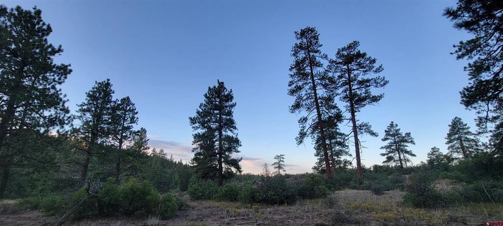 Lots 4 And 5 Beaver Creek Ranch Drive Bayfield CO 81122