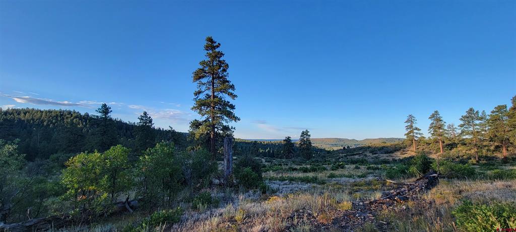 Lots 4 And 5 Beaver Creek Ranch Drive Bayfield CO 81122