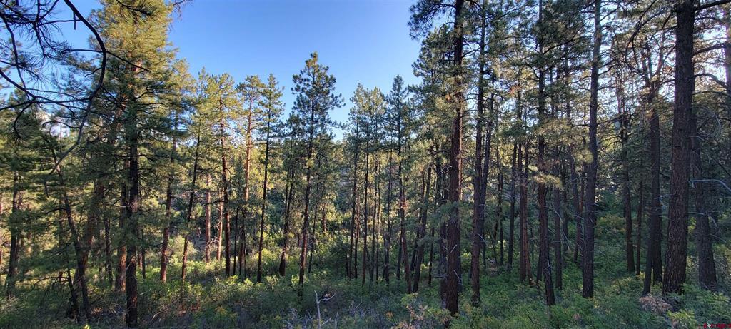 Lots 4 And 5 Beaver Creek Ranch Drive Bayfield CO 81122