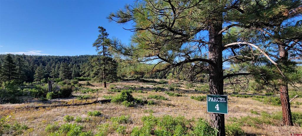 Lots 4 And 5 Beaver Creek Ranch Drive Bayfield CO 81122