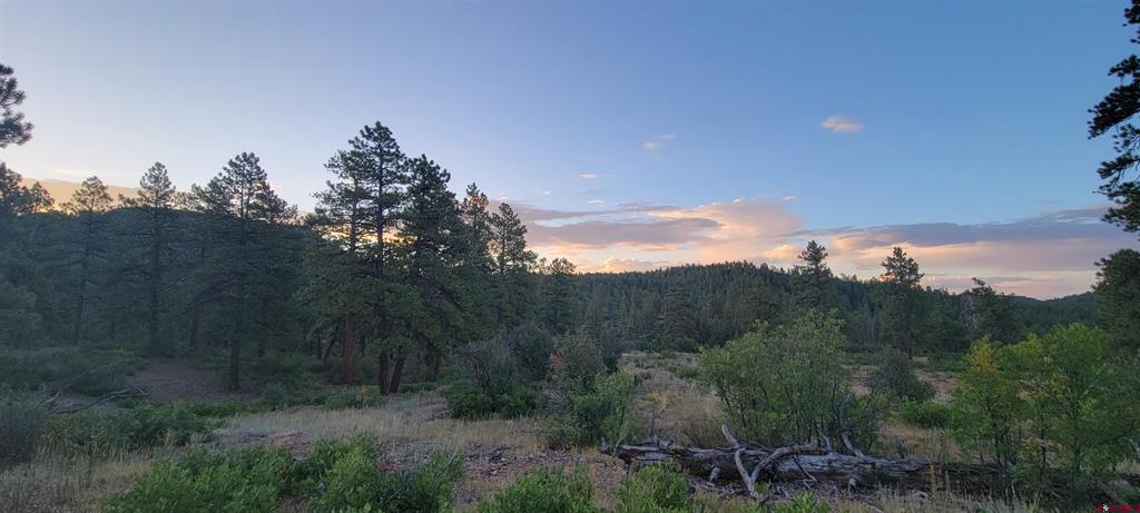Lots 4 And 5 Beaver Creek Ranch Drive Bayfield CO 81122