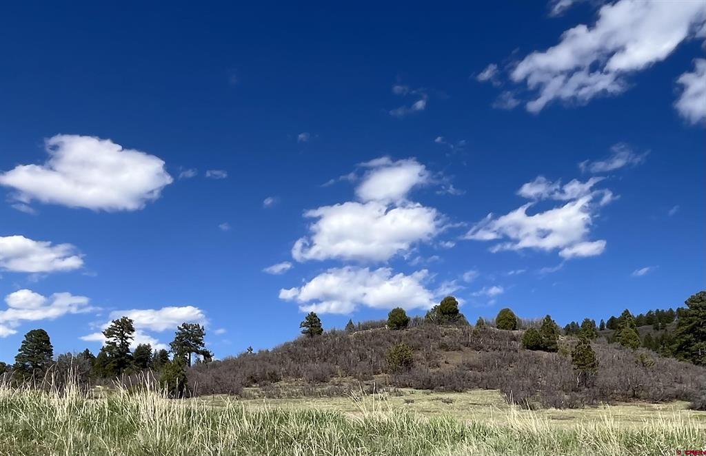 180 Dylan Drive Pagosa Springs CO 81147
