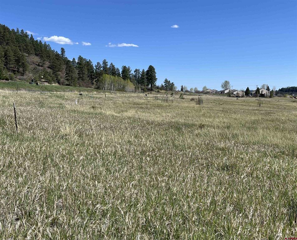 180 Dylan Drive Pagosa Springs CO 81147