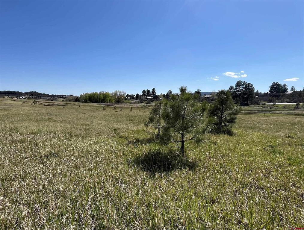 180 Dylan Drive Pagosa Springs CO 81147