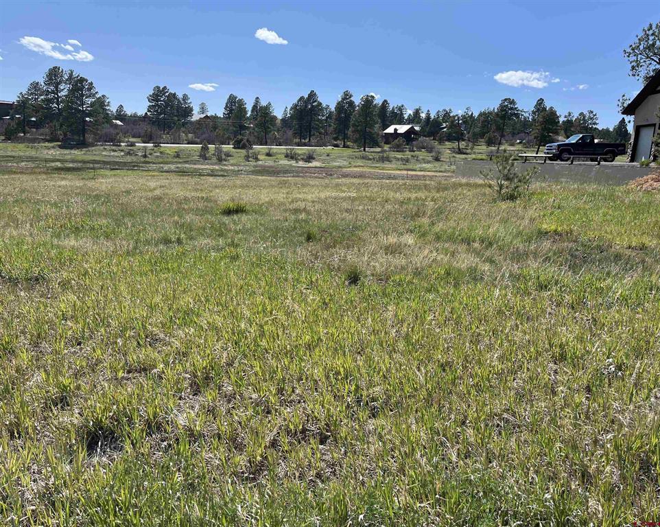 180 Dylan Drive Pagosa Springs CO 81147
